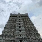 Arunachalam Temple Darshan Tickets Online Booking